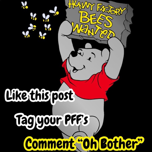 7/9 Pooh’s Hunny Pot Poshers - Picture 2 of 8